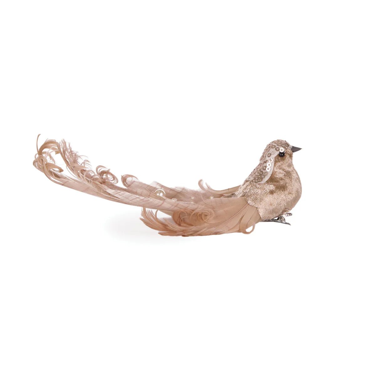 NEUTRAL ADORNED BIRD - Pure Apotheca