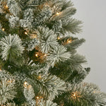 Norwegian Snowy Pine Tree 6ft/180cm With 300 LED Lights - Pure Apotheca