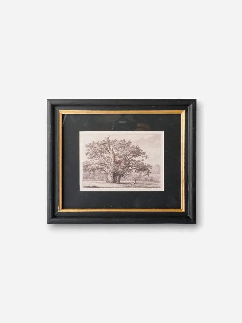 Oak Tree Pencil Wall Art - Pure Apotheca