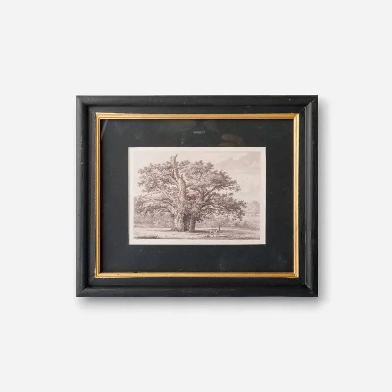 Oak Tree Pencil Wall Art - Pure Apotheca