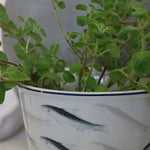 Oceania Planter 18cm - Pure Apotheca