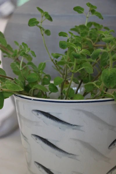 Oceania Planter 18cm - Pure Apotheca