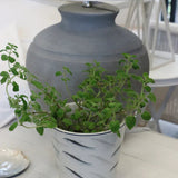 Oceania Planter 18cm - Pure Apotheca