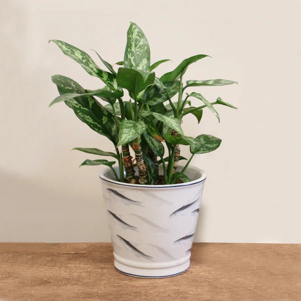 Oceania Planter 18cm - Pure Apotheca