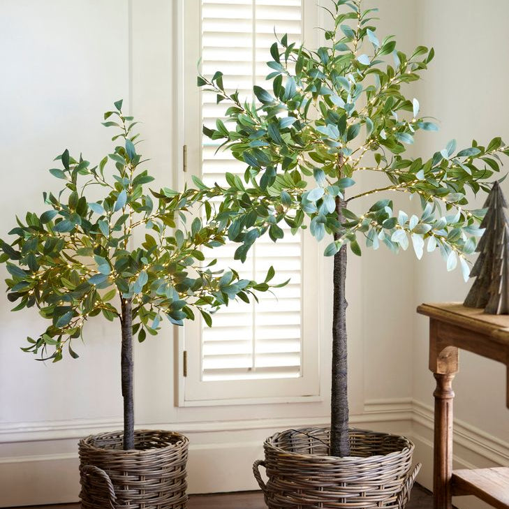 Olive Tree Light Up Dark Leaf Large - Pure Apotheca