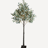 Olive Tree Light Up Dark Leaf Large - Pure Apotheca