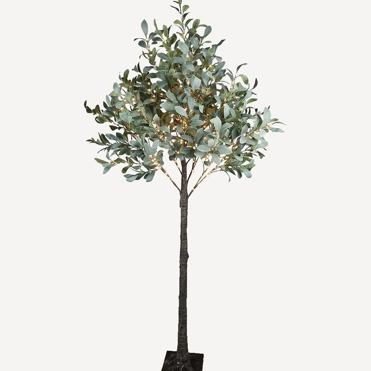 Olive Tree Light Up Dark Leaf Large - Pure Apotheca