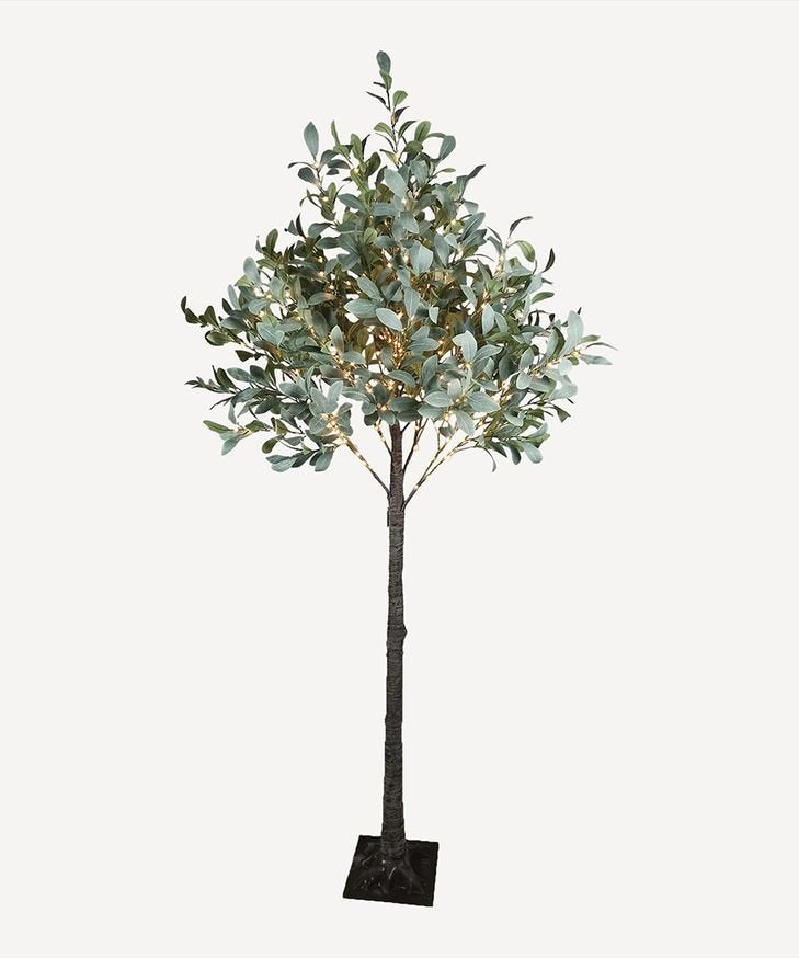 Olive Tree Light Up Dark Leaf Large - Pure Apotheca