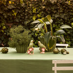 PENNY GREEN PLANTER LARGE - Pure Apotheca