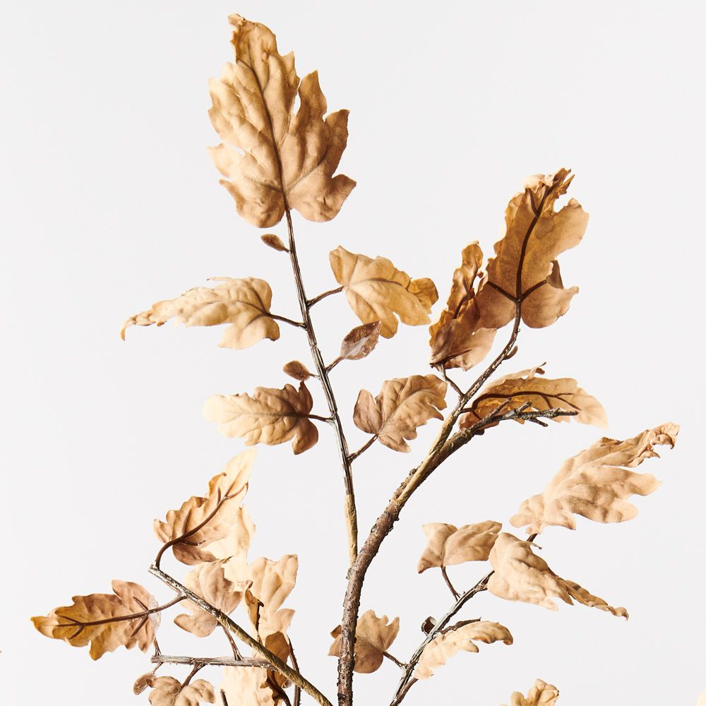 Perilla Leaf Spray Almond 89cm - Pure Apotheca
