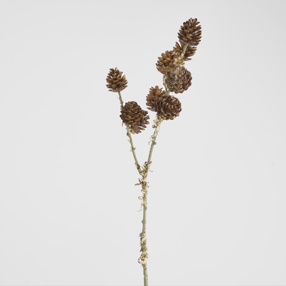 Pine Cone Stem - Pure Apotheca