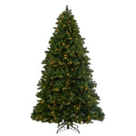 Pine Needle Tree with LED Tips 210cm - Pure Apotheca