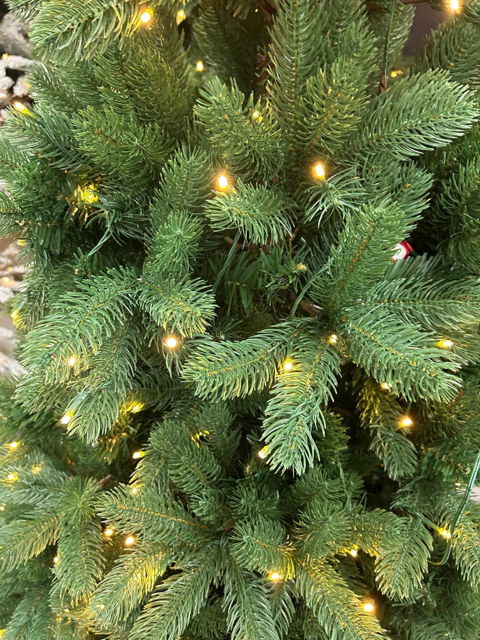 Pine Needle Tree with LED Tips 210cm - Pure Apotheca