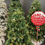 Pine Needle Tree with LED Tips 210cm - Pure Apotheca