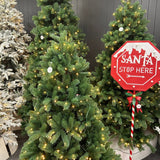 Pine Needle Tree with LED Tips 210cm - Pure Apotheca