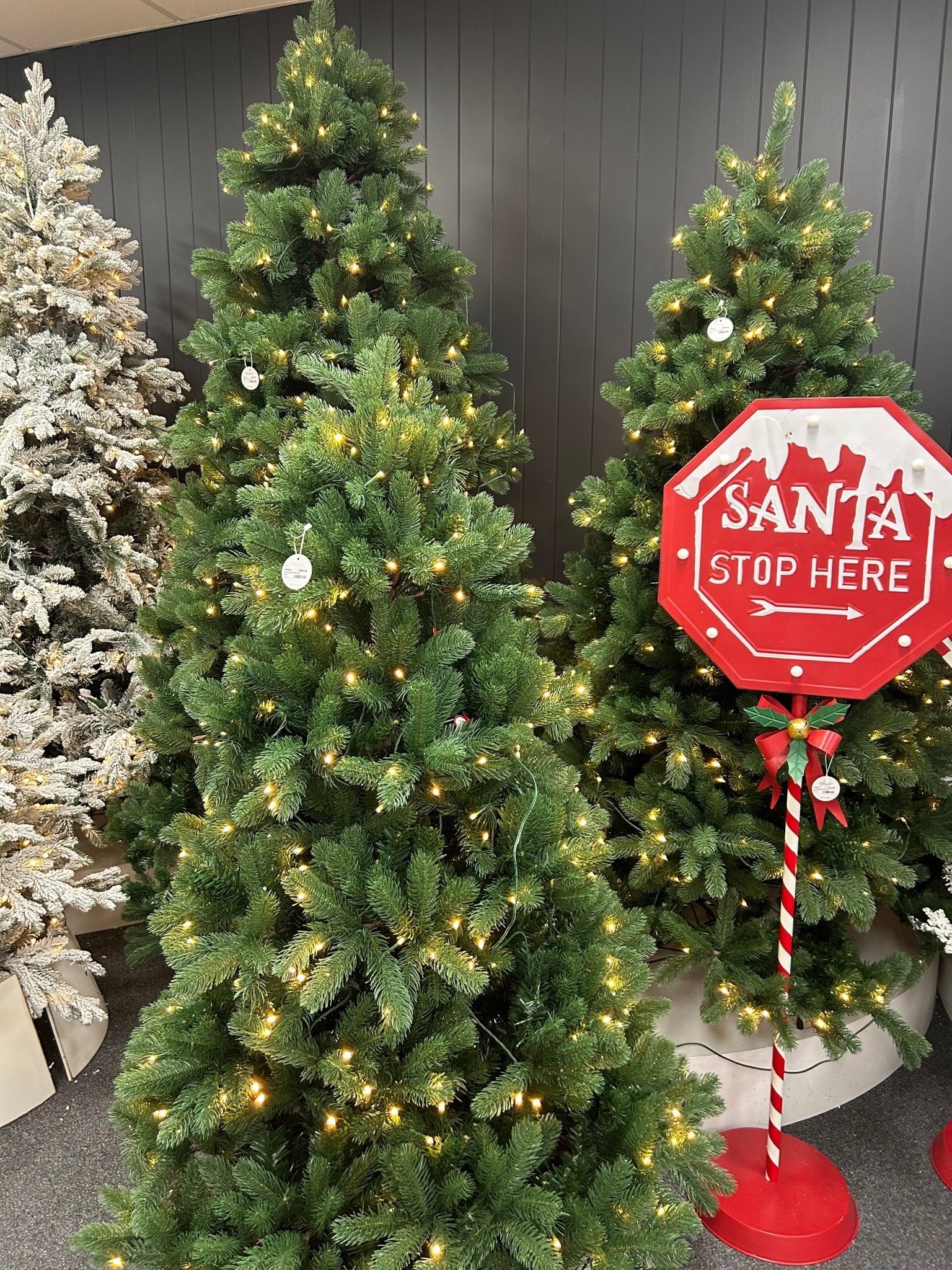 Pine Needle Tree with LED Tips 210cm - Pure Apotheca