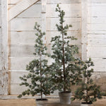 Pine Tree Dusty Medium - Pure Apotheca