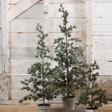 Pine Tree Dusty Medium - Pure Apotheca