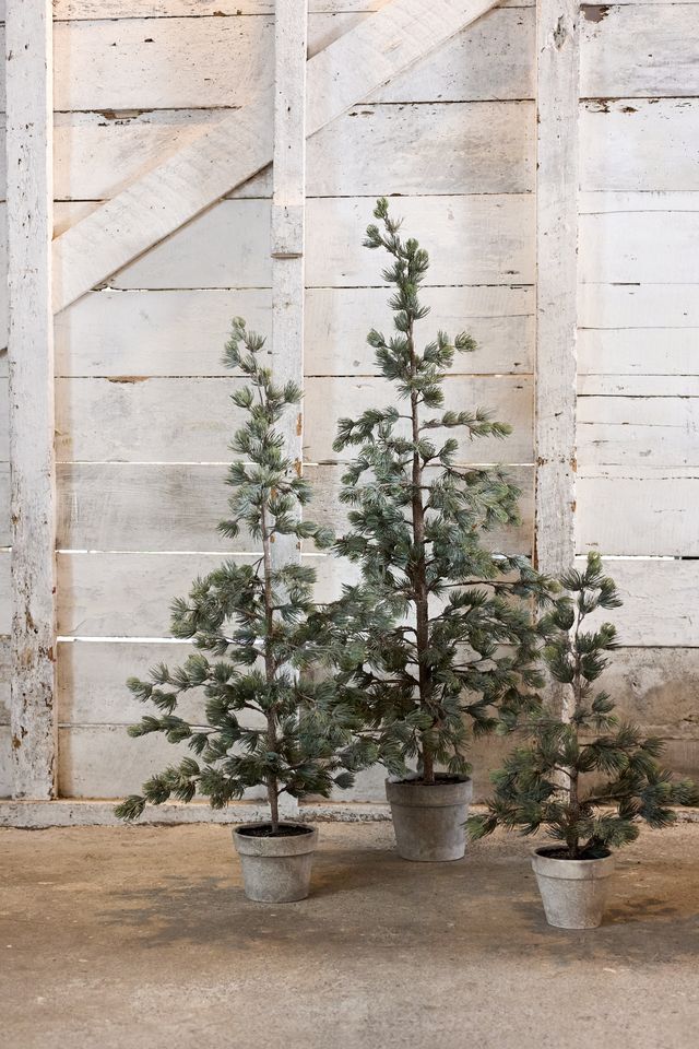 Pine Tree Dusty Medium - Pure Apotheca