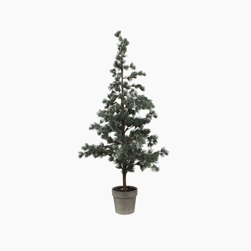Pine Tree Dusty Medium - Pure Apotheca