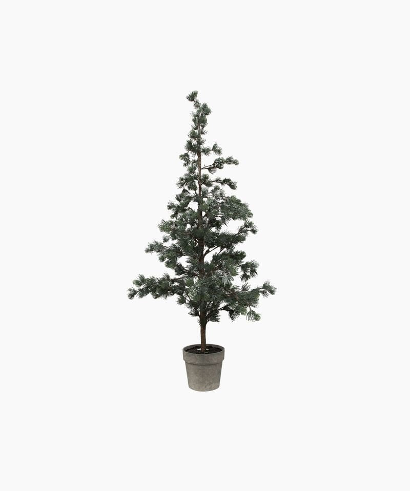 Pine Tree Dusty Medium - Pure Apotheca