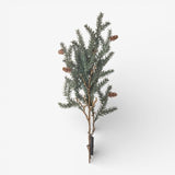 Pinecone Light Up Branch 40cm - Pure Apotheca