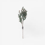 Pinecone Light Up Branch 70cm - Pure Apotheca