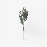 Pinecone Light Up Branch 70cm - Pure Apotheca