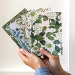 Pocket Notebook Lined - Hydrangea - Pure Apotheca