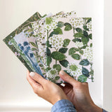 Pocket Notebook Lined - Hydrangea - Pure Apotheca