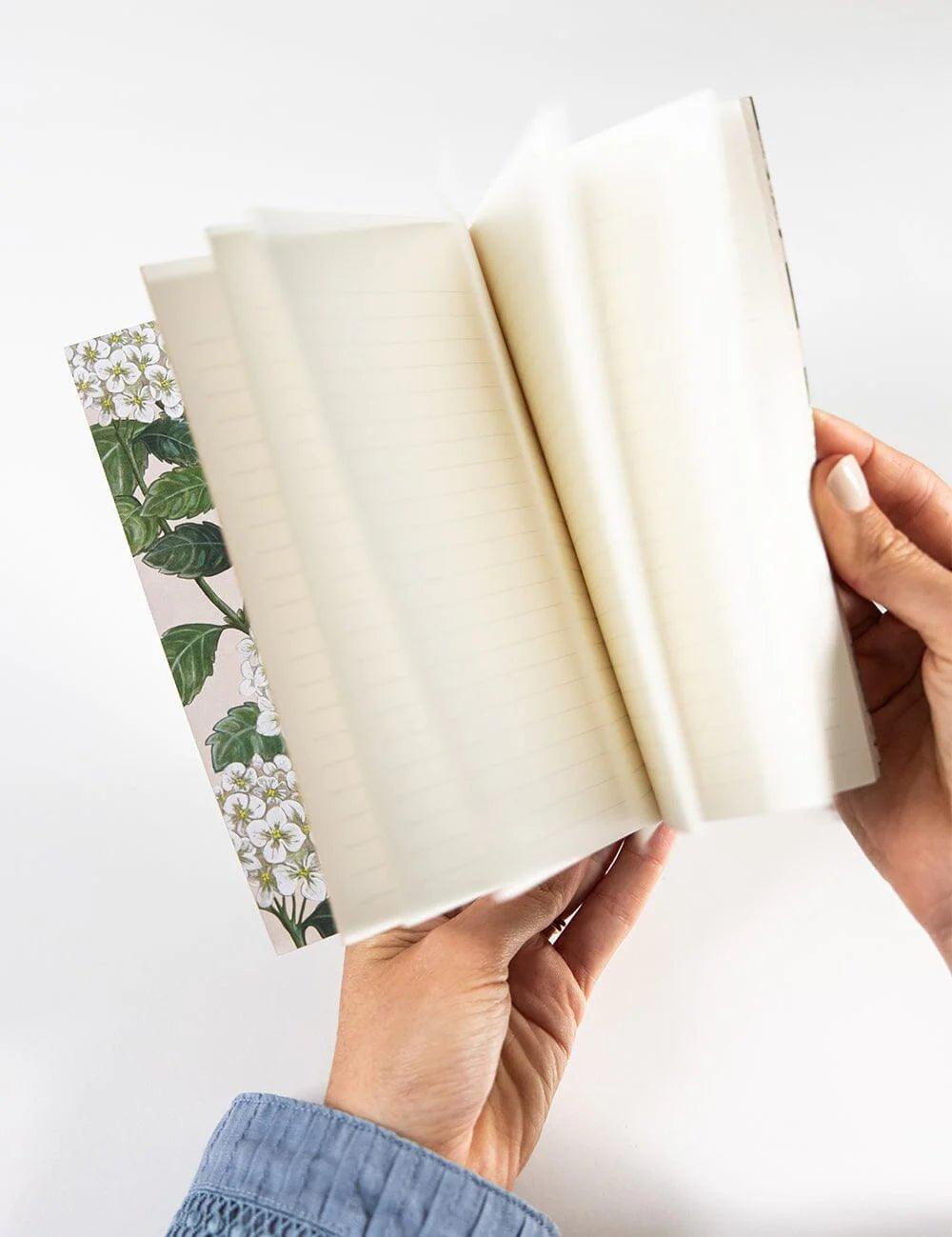 Pocket Notebook Lined - Hydrangea - Pure Apotheca