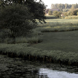 Poetry of Landscaping - Pure Apotheca