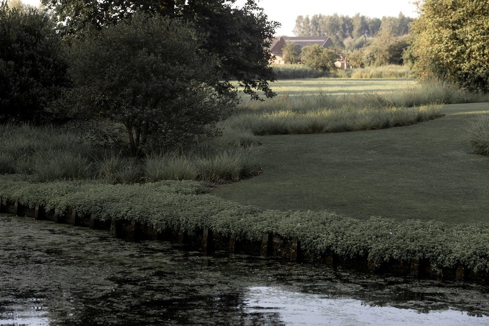 Poetry of Landscaping - Pure Apotheca