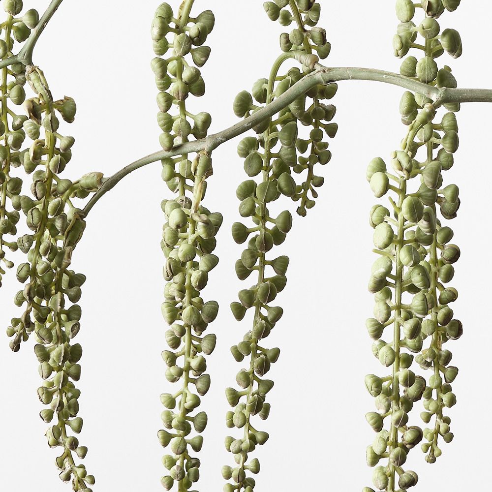 Pokeberry Spray Grey Green 82cm - Pure Apotheca