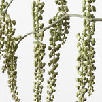 Pokeberry Spray Grey Green 82cm - Pure Apotheca