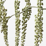 Pokeberry Spray Grey Green 82cm - Pure Apotheca