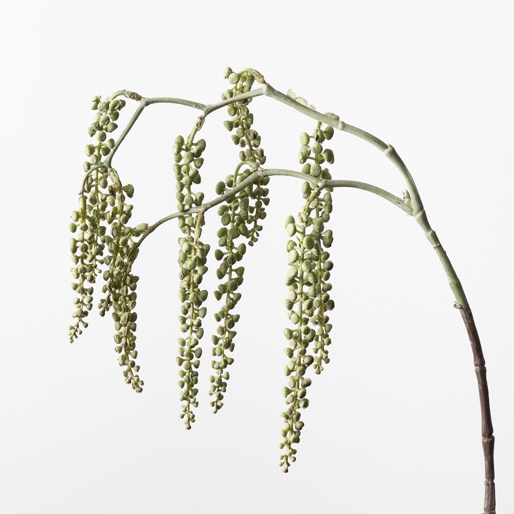 Pokeberry Spray Grey Green 82cm - Pure Apotheca