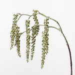 Pokeberry Spray Grey Green 82cm - Pure Apotheca