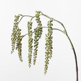 Pokeberry Spray Grey Green 82cm - Pure Apotheca