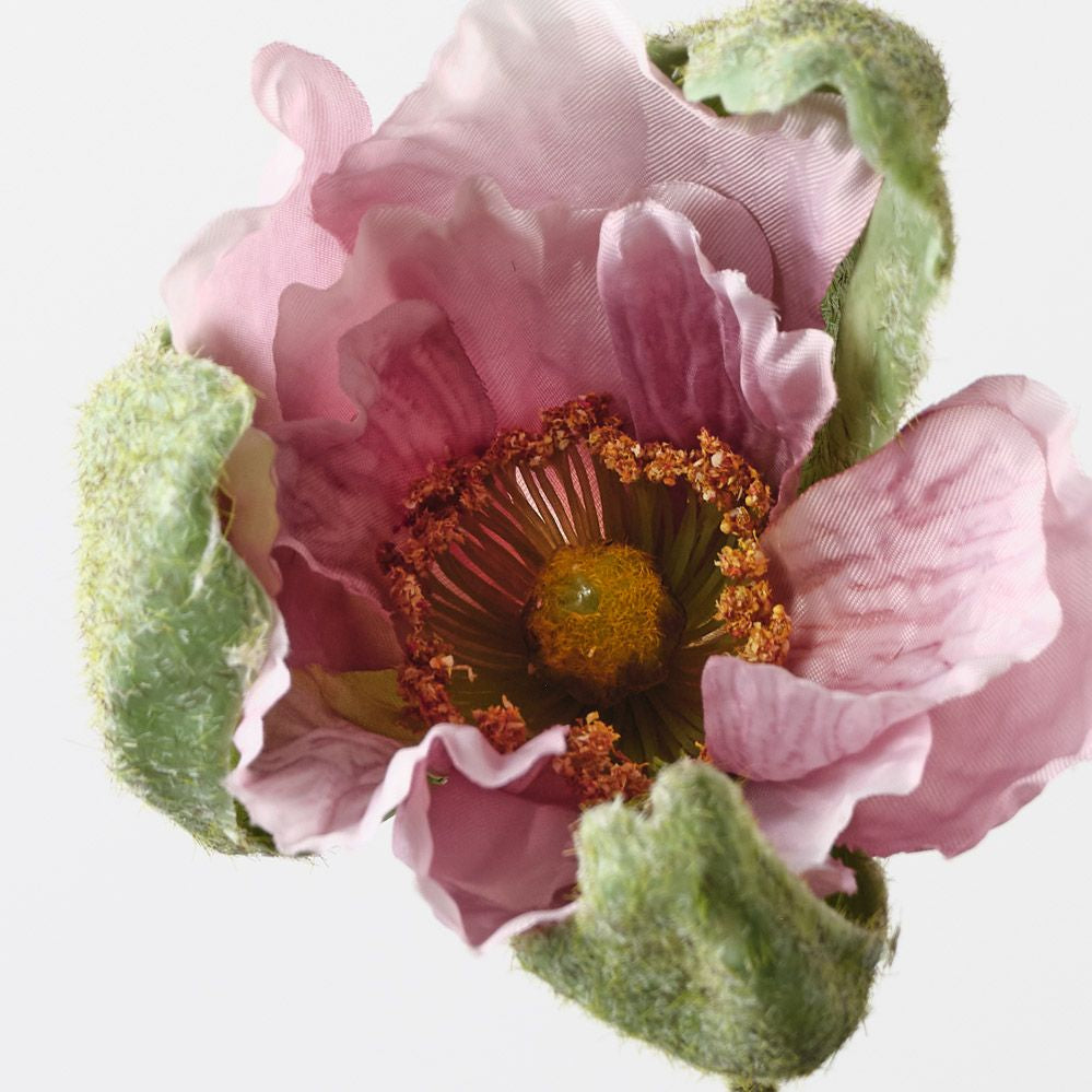 Poppy Bud Lavender 79cm - Pure Apotheca