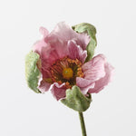 Poppy Bud Lavender 79cm - Pure Apotheca