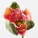 Poppy Bud Orange 79cm - Pure Apotheca