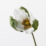 Poppy Bud White 79cm - Pure Apotheca