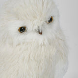 Pott's Owl LGE - Pure Apotheca