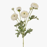 Ranunculus Spray White 67cm - Pure Apotheca