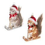 RAZ Glass Skiing Squirrel Hanging Ornament 5" - Pure Apotheca