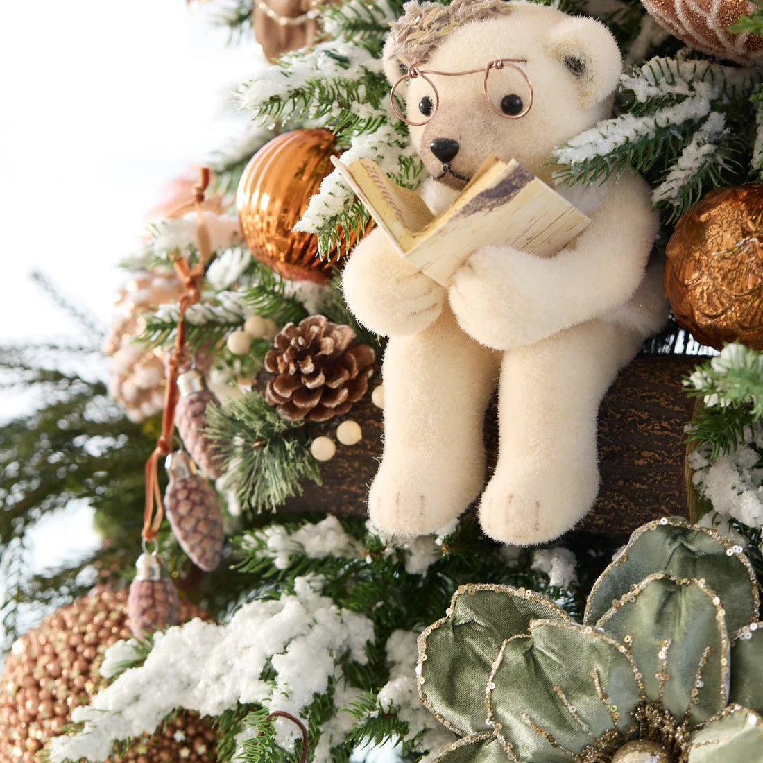 READING NANA TEDDY BEAR - Pure Apotheca