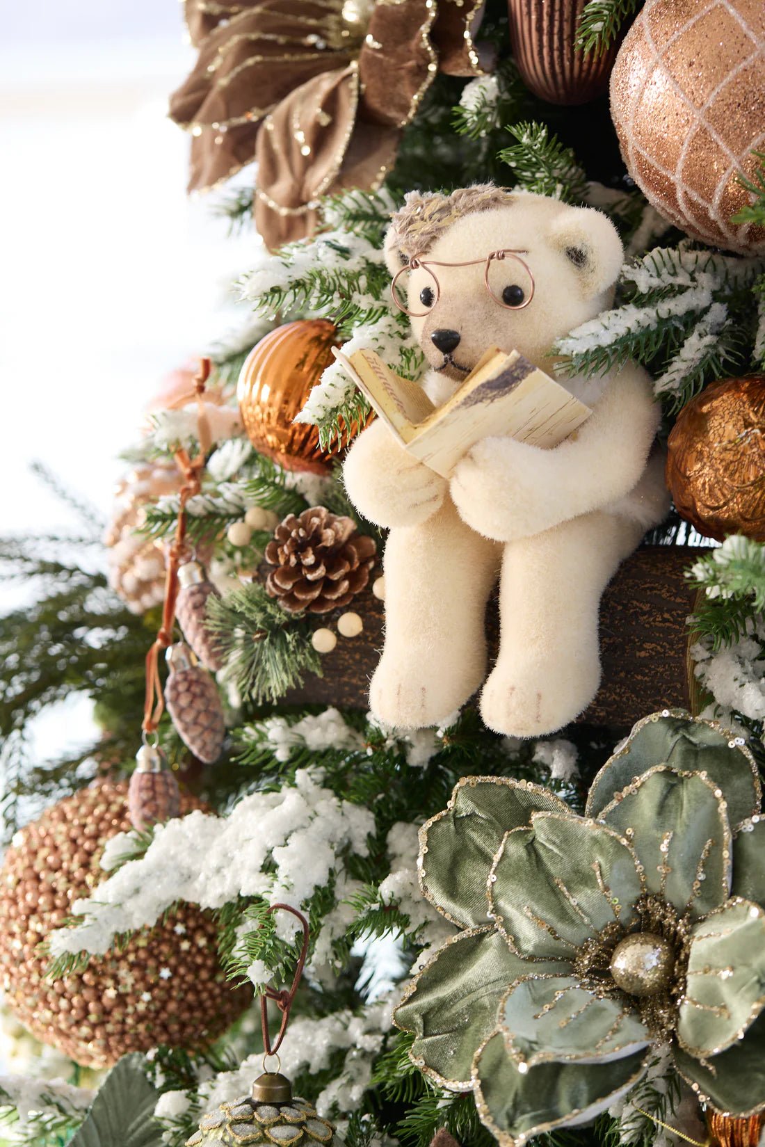 READING NANA TEDDY BEAR - Pure Apotheca