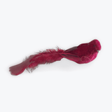 Red Velvet Clip Bird - Pure Apotheca