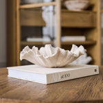 Ribbed Shell Bowl - Pure Apotheca